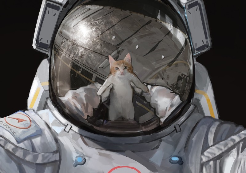 astronaut, artwork, cats, space, helmet