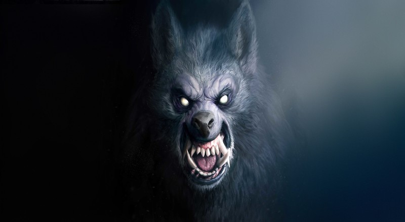 fantasy art, creature, artwork, Werewolf, wolf