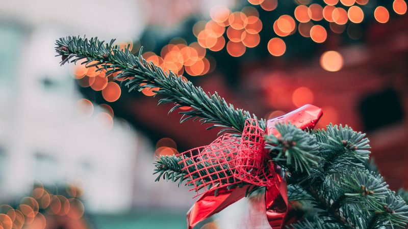 tree, christmas toy, christmas, new year, glare, bokeh, blur, 4k