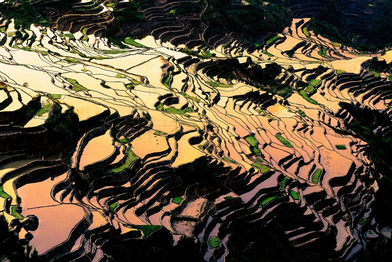 food, Philippines, sunset, nature, landscape, aerial view, field, rice fields