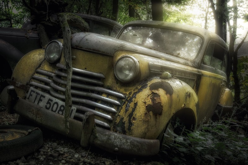 yellow cars, car, vehicle, wreck, numbers, plants, rust, licence plates