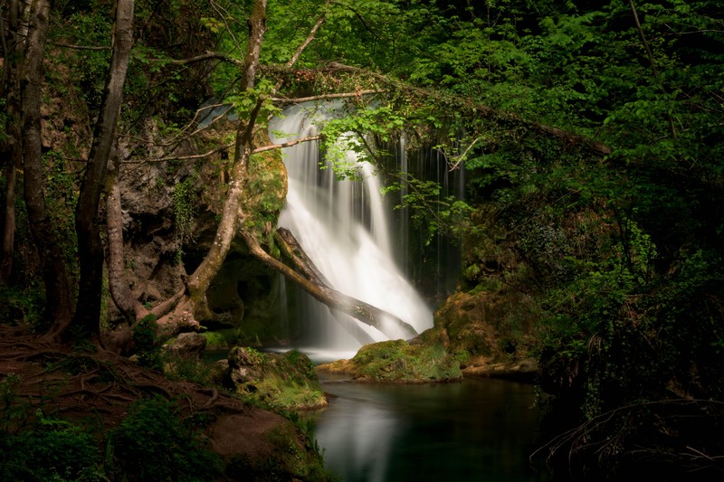 waterfall, nature, river, forest