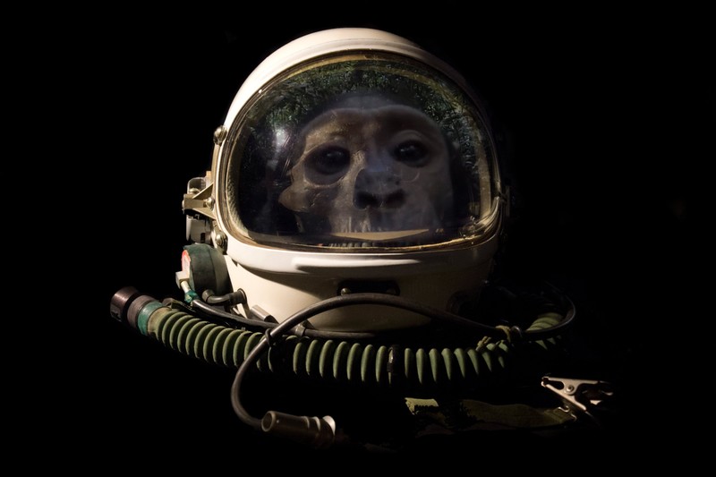 black background, simple, minimalism, digital art, skull, helmet, monkey, astronaut, photo manipulation