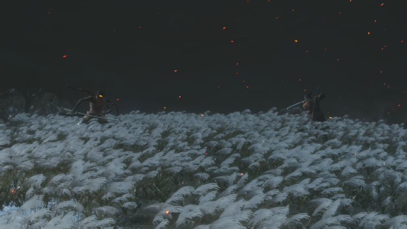 Sekiro: Shadows Die Twice, sekiro, video games