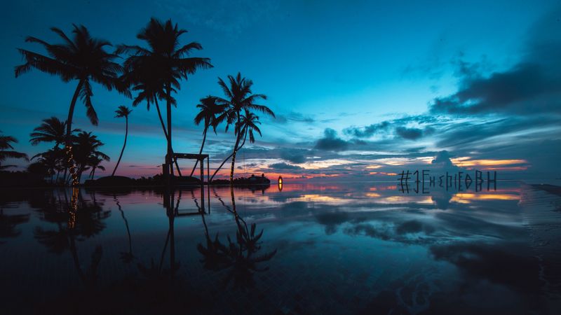 palm trees, sunset, ocean, evening, tropics, 4k