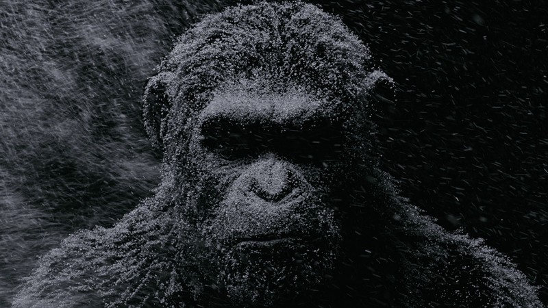 War for the Planet of the Apes, Planet of the Apes, movies, Andy Serkis, Caesar, frontal view