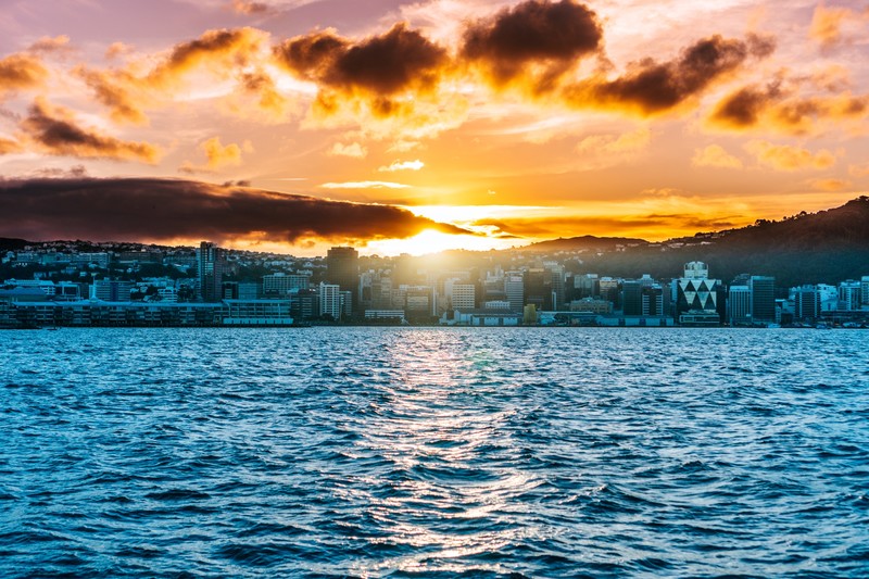 nature, landscape, New Zealand, city, cityscape, architecture, Wellington