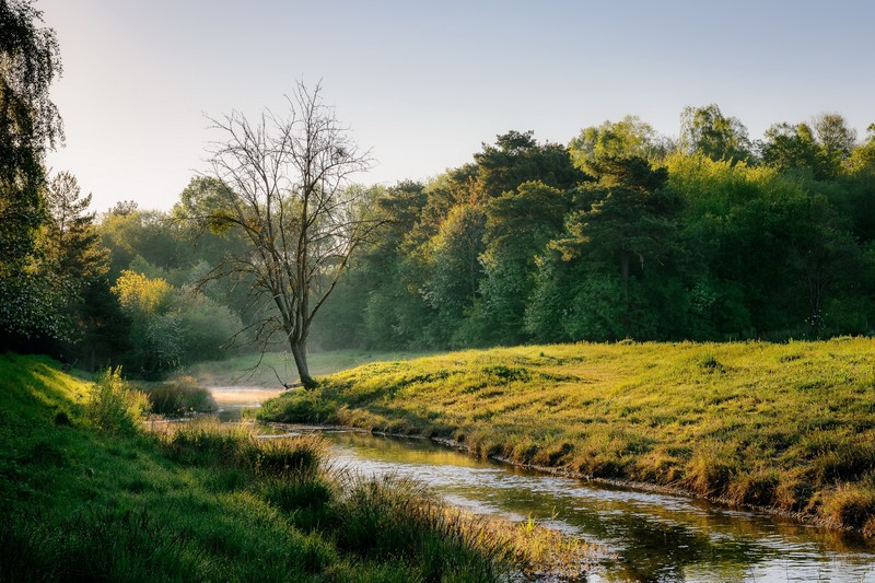 nature, water, trees, plants, outdoors