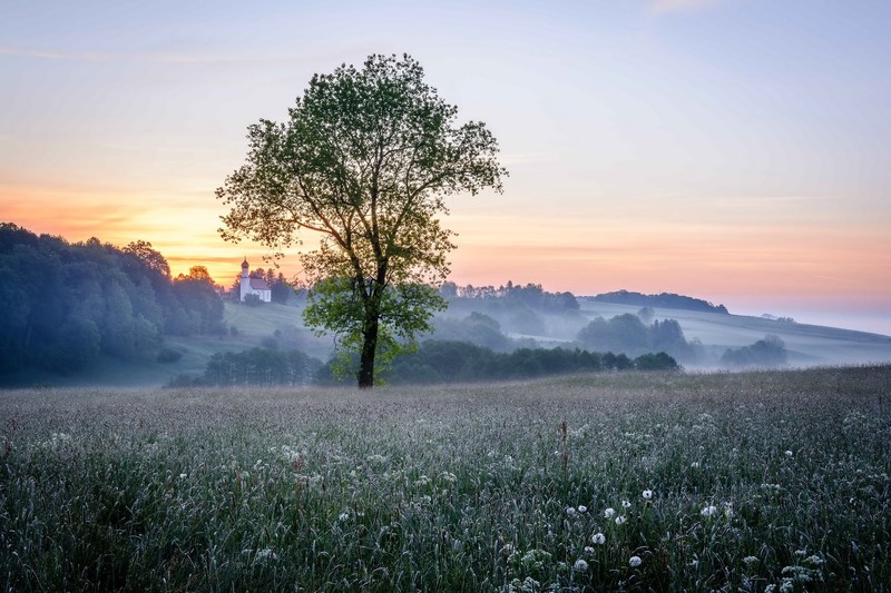 morning, field, sky, landscape, sunlight