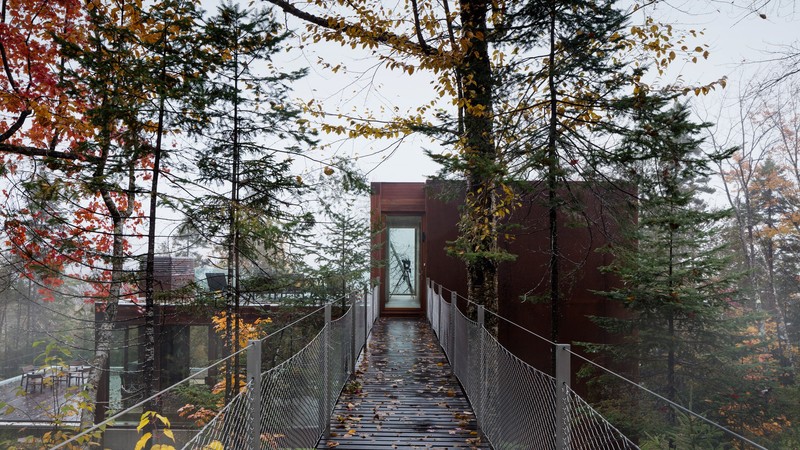architecture, modern, fall, fallen leaves