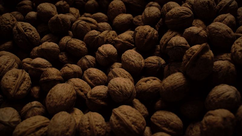 walnuts, dark, many, nuts, harvest, 4k