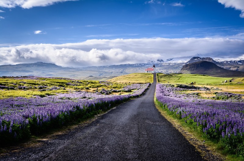 road, spring, landscape, sky, lavender