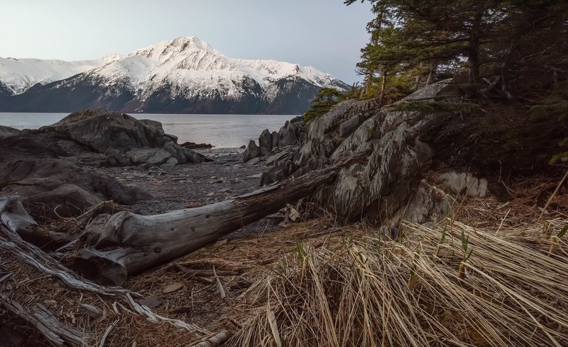 Alaska, wood, nature, mountains