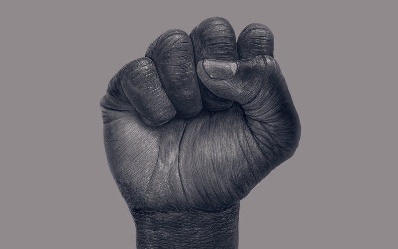 illustration, digital, black, fist, fists, revolution