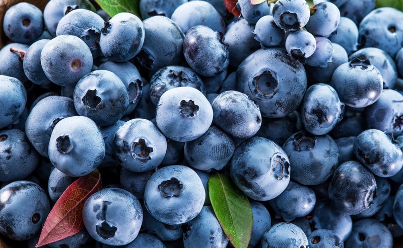 fruit, blueberries, berries, food, blue