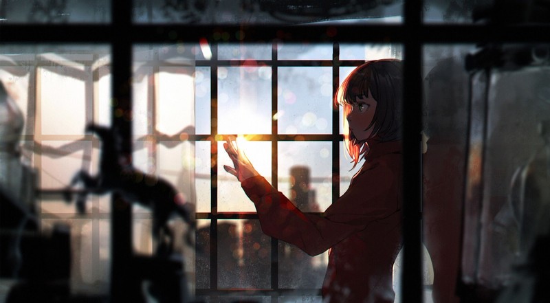 anime, anime girls, window, sunlight, indoors