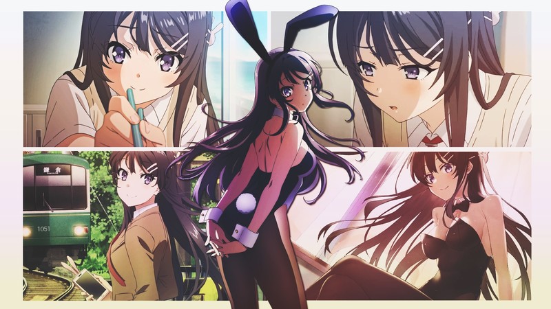 Seishun Buta Yarou wa Bunny Girl Senpai no Yume o Minai, anime girls, anime, bunny ears, train, purple eyes, Seishun Buta Yarō wa Bunny Girl-senpai no Yume wo Minai, Sakurajima Mai