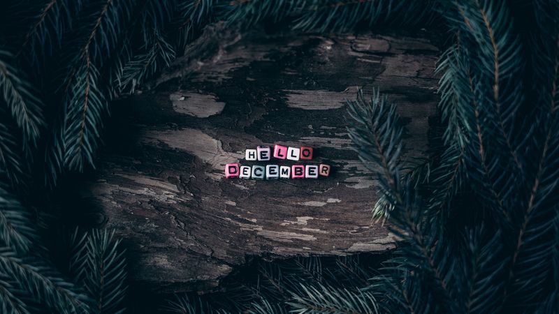 december, letters, branches, spruce, winter, 4k