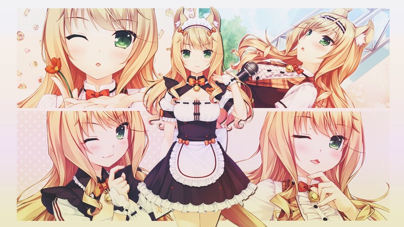 Neko Para, Maple (Neko Para), anime girls, anime