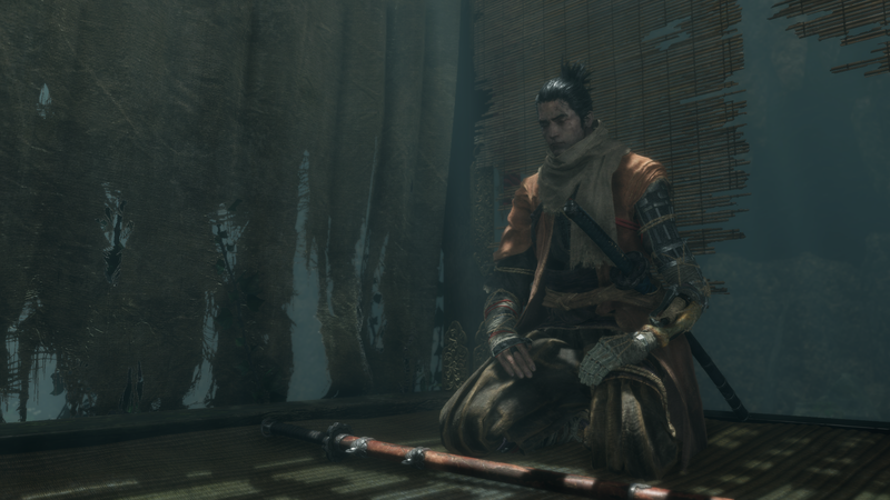 Sekiro: Shadows Die Twice, sekiro, video games
