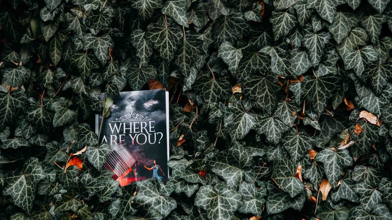 book, leaves, reading, inscription, bushes, 4k