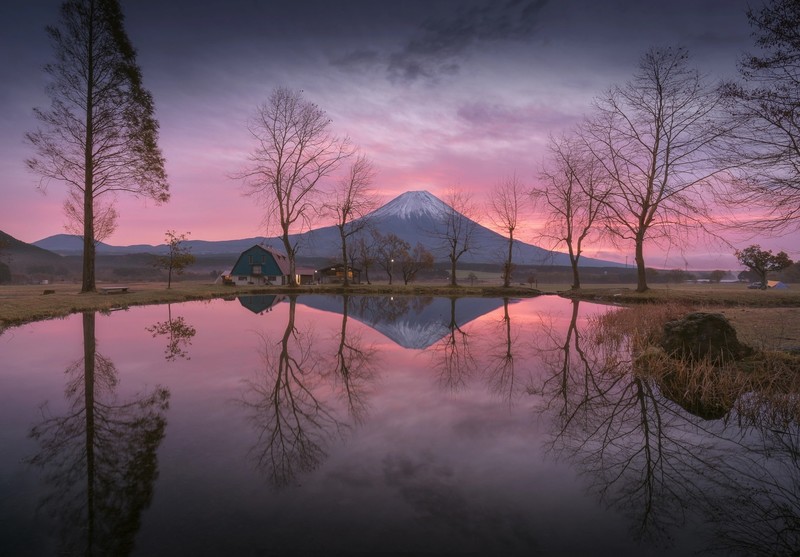 nature, Japan, Mount Fuji, water, trees, reflection