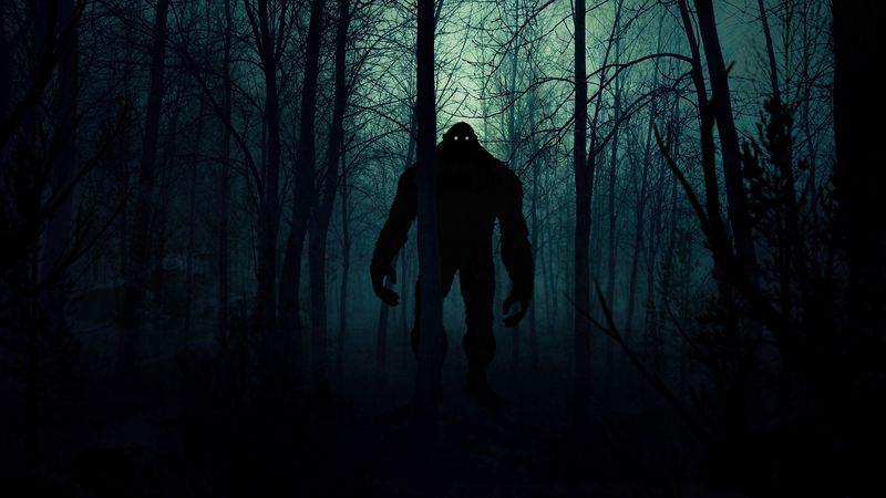 monster, silhouette, forest, night, art, 4k