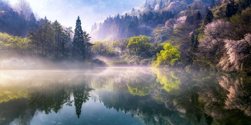 nature, water, reflection, South Korea, trees, green