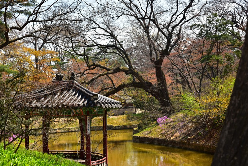 Korean, architecture, plants