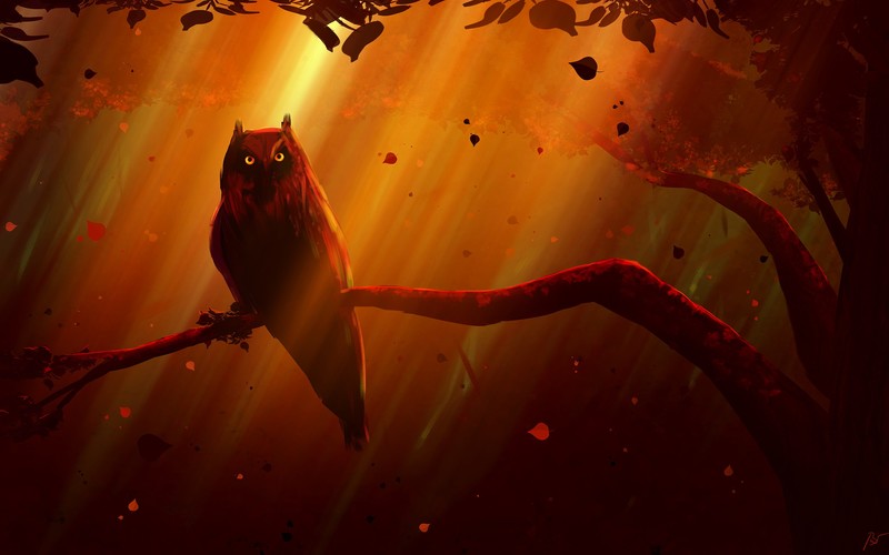 JoeyJazz, owl, animals, birds, trees, artwork