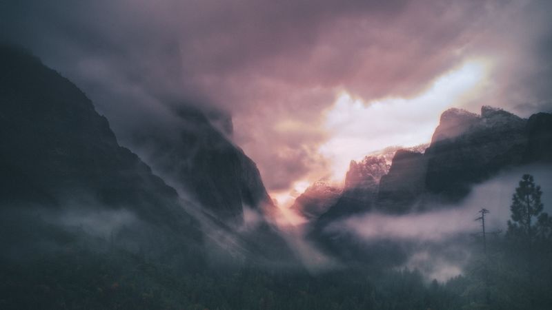 mountains, fog, trees, sky, clouds, aerial view, 4k