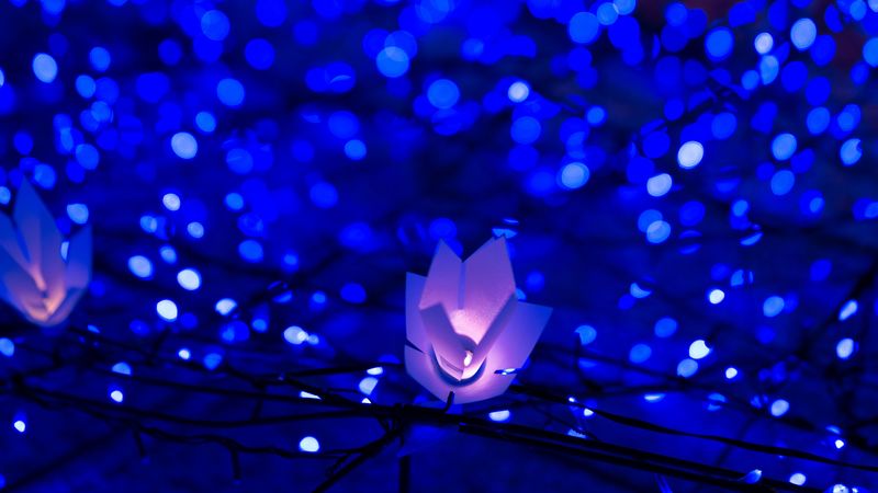 garland, glare, bokeh, light, christmas, new year, 4k