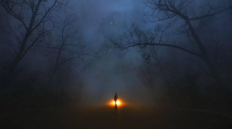 dark, night, digital art, alone, trees, creature