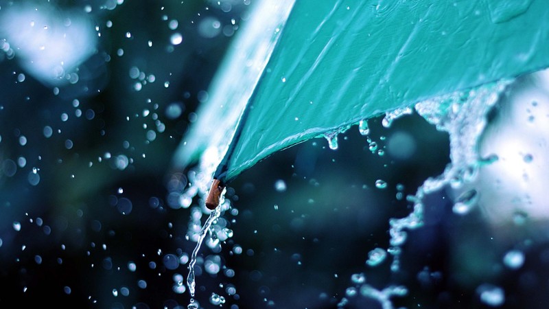nature, rain, umbrella, splashes, cyan, wet
