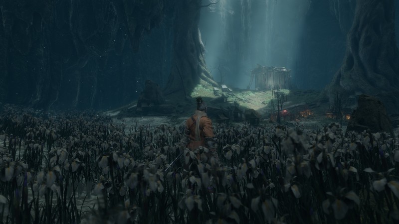 video games, Sekiro: Shadows Die Twice, From Software
