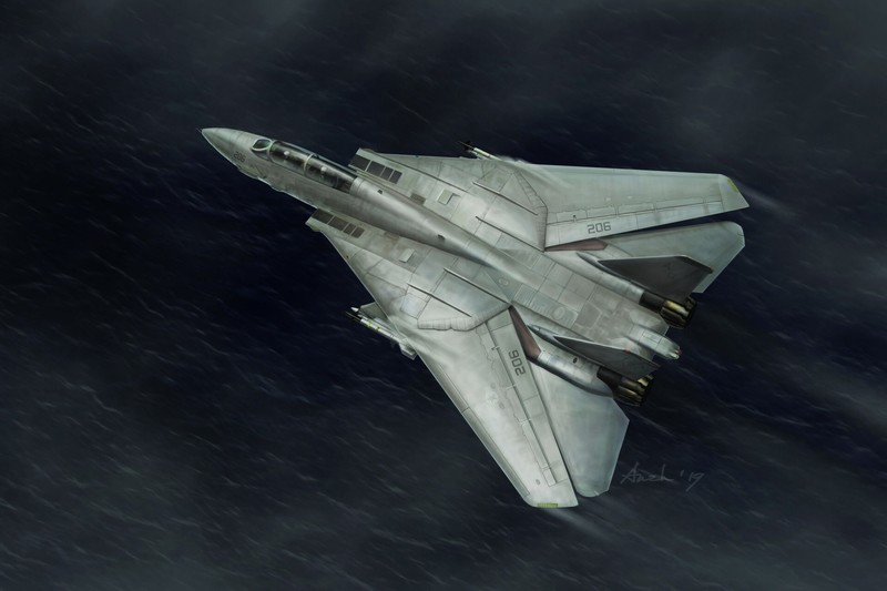 military aircraft, vehicle, military, Grumman F-14 Tomcat