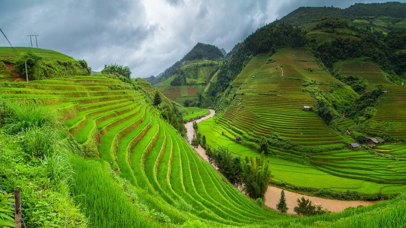 nature, landscape, clouds, terraced field, rice fields, rice paddy, valley, Asia, river, green, grass, trees