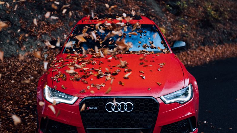 audi, car, front view, red, bumper, foliage, autumn, 4k