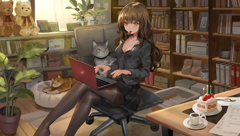 anime, anime girls, cats, original characters, laptop