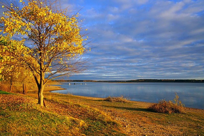 Russia, nature, fall, lake, trees