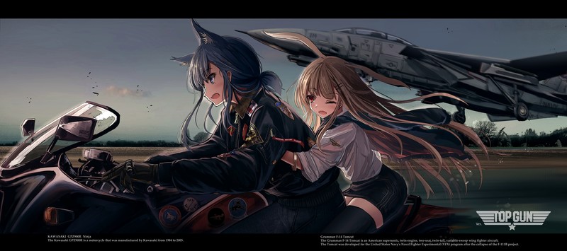 anime, anime girls, Top Gun, original characters, animal ears