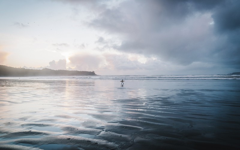 beach, water, nature