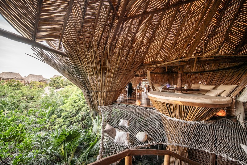 architecture, tropical, jungle