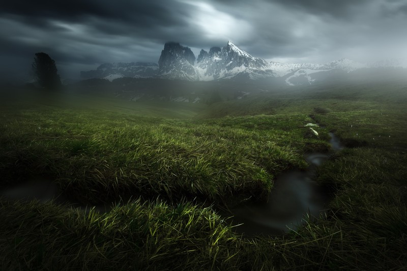 dark, nature, plants, landscape, mountains