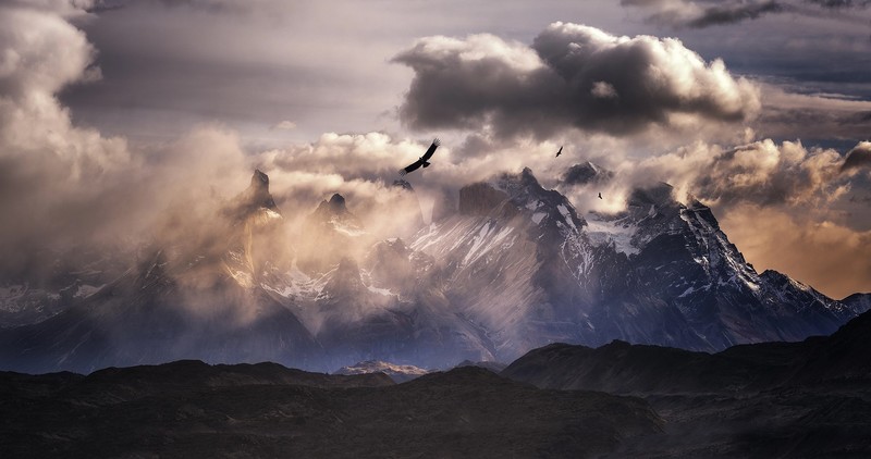 South America, mountains, nature, birds, sky, clouds