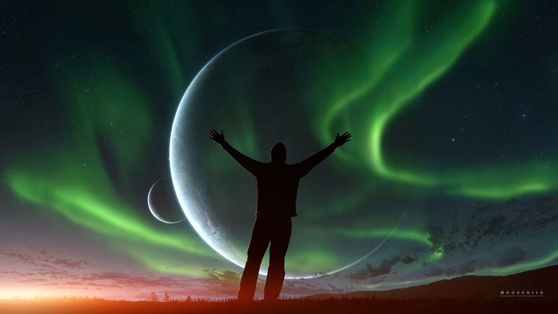 silhouette, night, northern lights, aurora, sky, space, freedom, 4k