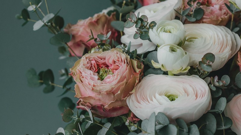 flowers, bouquet, plants