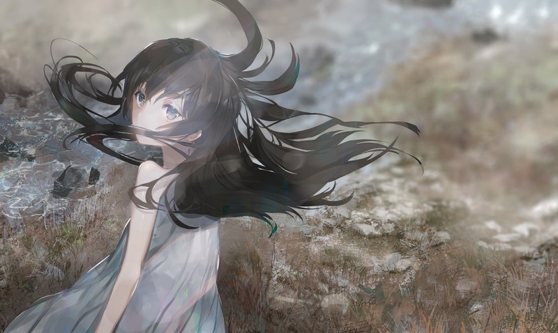wind, anime, black hair, blue eyes, grass, light effects