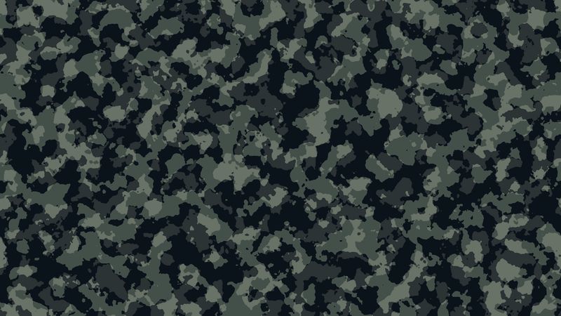 camouflage, disguise, pattern, spots, forest, 4k