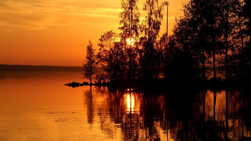 trees, sunset, rays, 4k